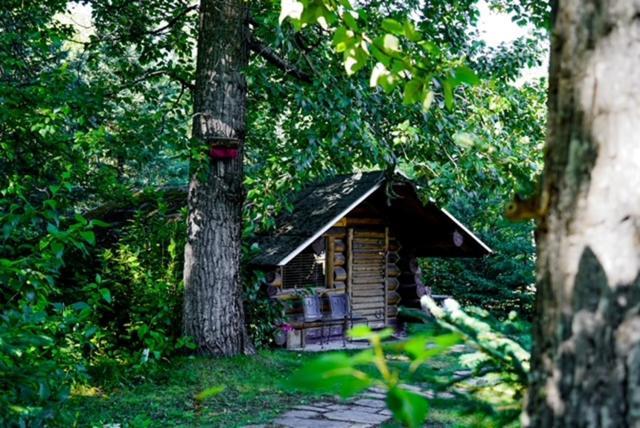 Hope Alaska'S Bear Creek Lodge Luaran gambar