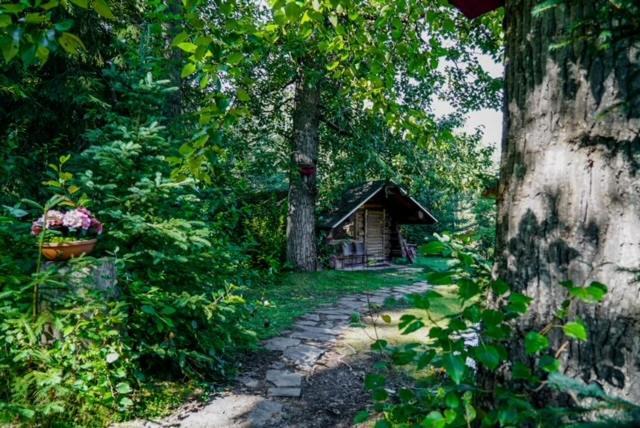 Hope Alaska'S Bear Creek Lodge Luaran gambar